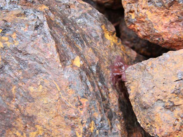 鐵礦石圓錐破碎機能加工多小粒度的鐵礦石