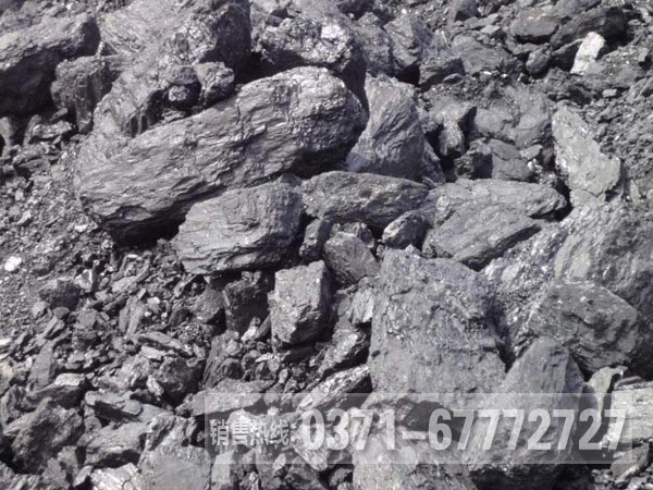 對輥破碎機(jī)粉碎煤炭行不行？