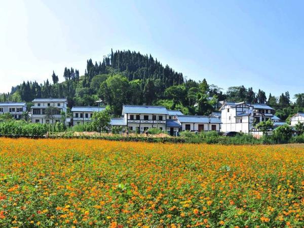 美麗鄉(xiāng)村建設(shè)