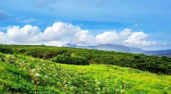 綠水青山即是金山銀山