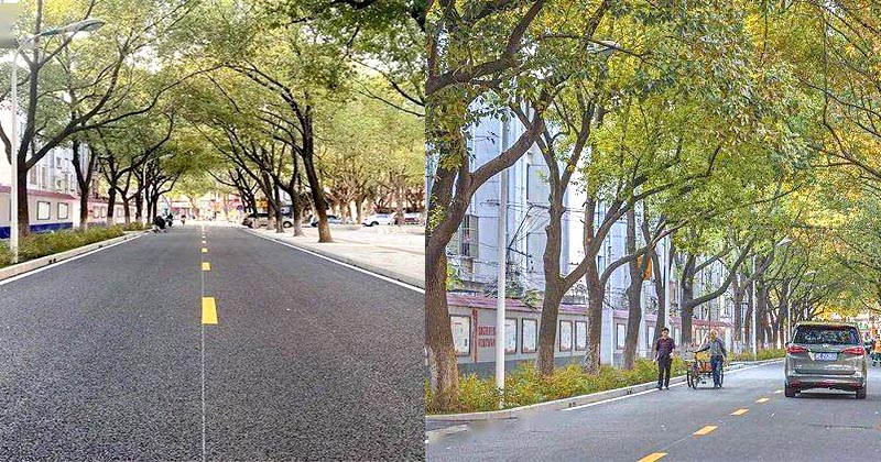 一條會呼吸的城市道路